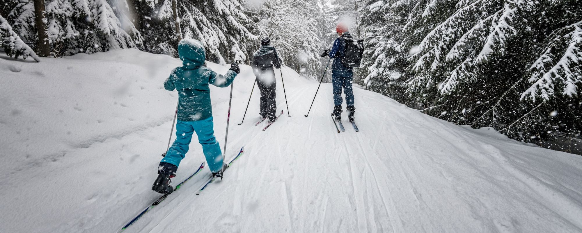 Längdskidåkare i snölandskap