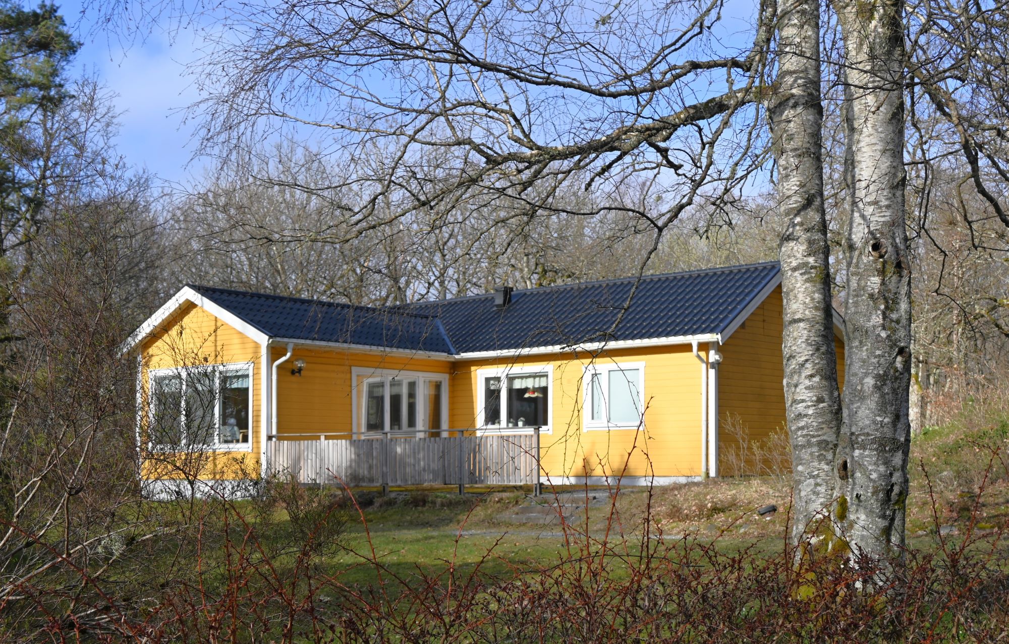 image: Vårstädning