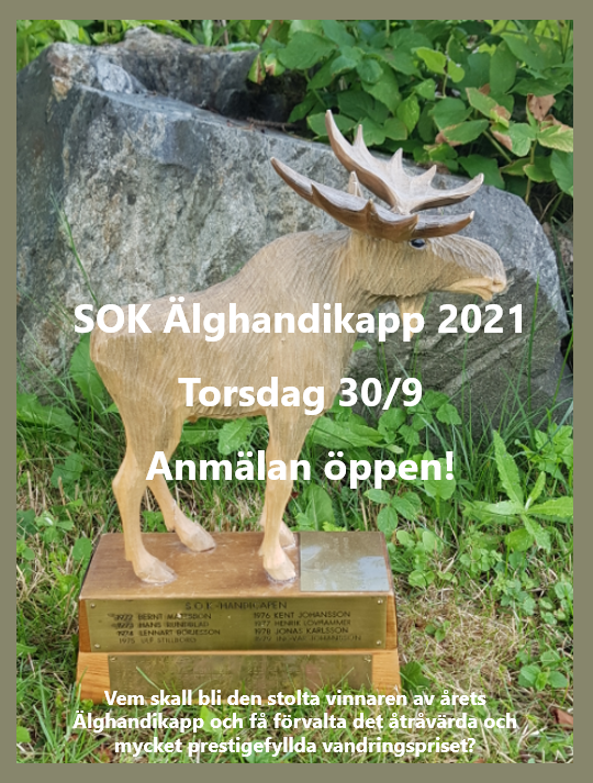 image: Älghandikapp 2021